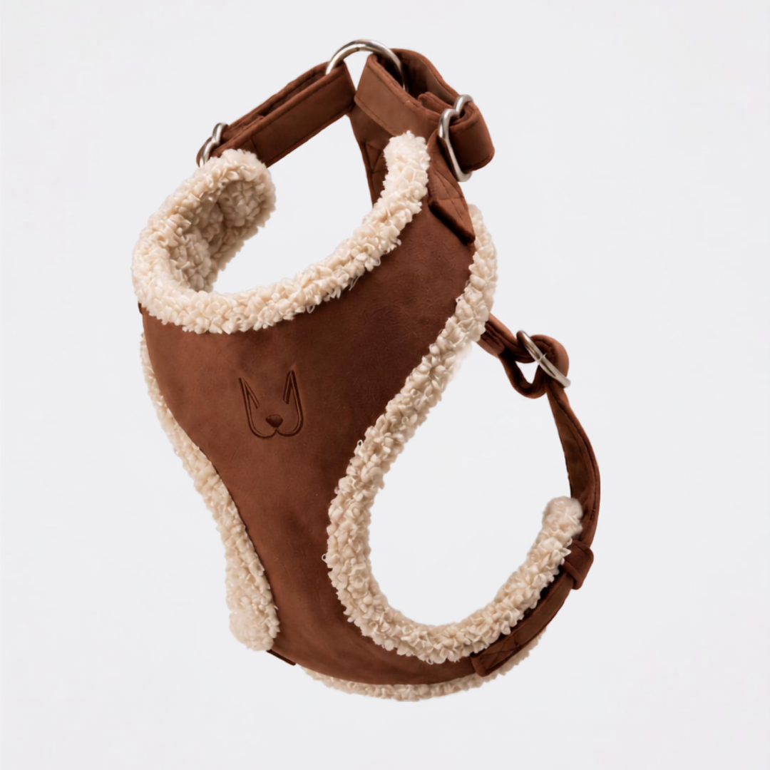 Teddy Harness Set